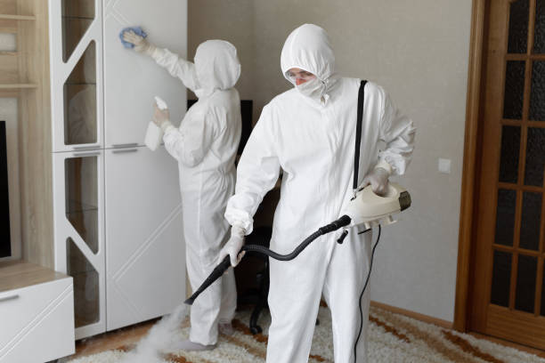 Mold Removal and Inspection in Shinnston, WV