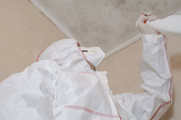 Best Mold Remediation  in Shinnston, WV